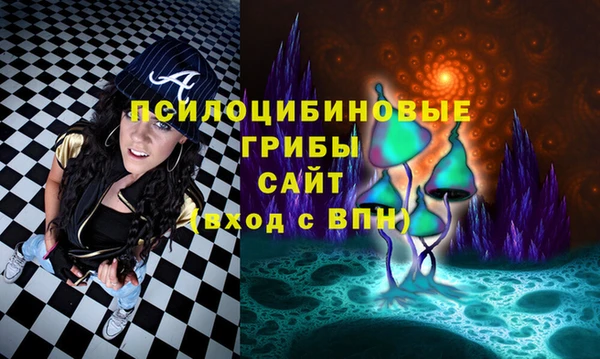 бошки Алзамай